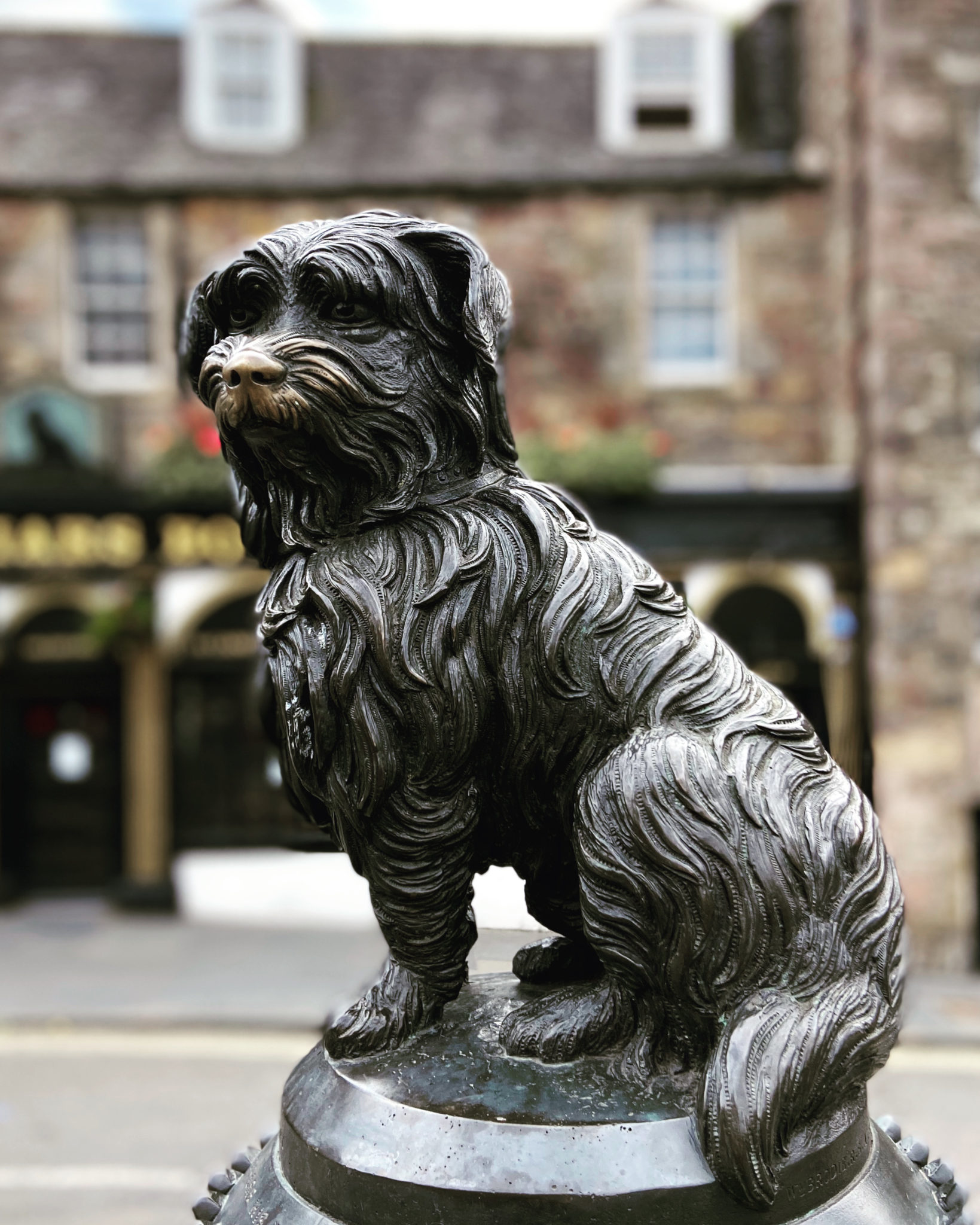 Edinburgh's Best Dog Friendly Apartments - Dickins