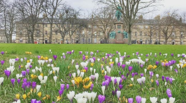 What's on in Edinburgh - April